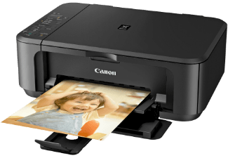 Canon Pixma MG2250 Inkt cartridge